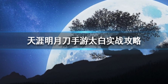 攻略网