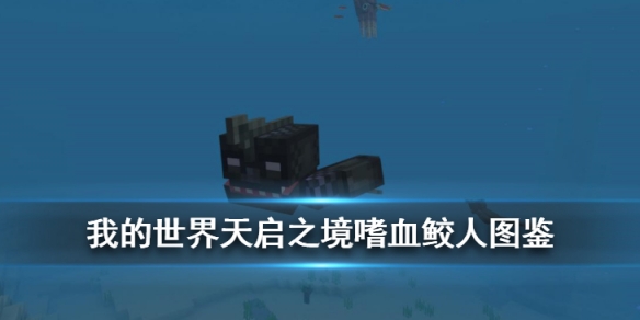 攻略网