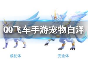 《QQ飞车手游》宠物白泽获得方法 宠物白泽技能一览