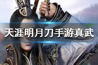 《天涯明月刀》真武门派介绍 真武职业怎么样