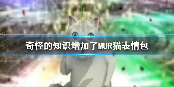 抖音奇怪的知识增加了是什么梗 MUR猫表情包出处无水印表情包大全汇总