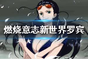 《航海王燃烧意志》新世界罗宾阵容怎么搭配 新世界罗宾阵容推荐