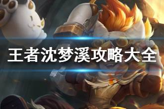 《王者荣耀》沈梦溪怎么玩 沈梦溪皮肤台词连招大全