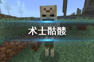 《我的世界手游》术士骷髅介绍 天启之境混沌怪物术士骷髅