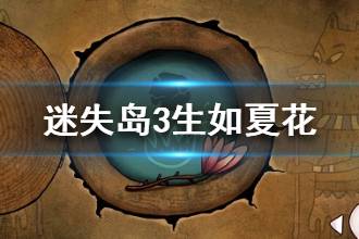 《迷失岛3》生如夏花成就怎么完成 21朵花位置大全