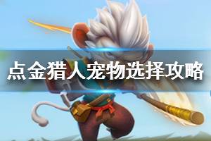 《点金猎人》宠物选哪只好 宠物选择攻略