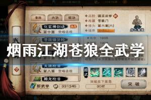 《烟雨江湖》苍狼全武学加点技巧 狼系枪法龙系枪法学习方法
