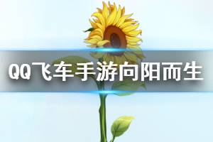 《QQ飞车手游》向阳而生手杖获得方法 向阳而生手杖领取技巧