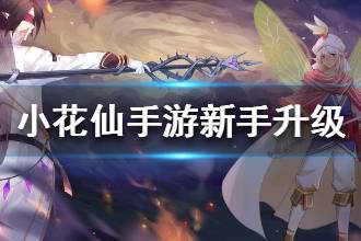 《小花仙手游》如何升级 新手升级攻略