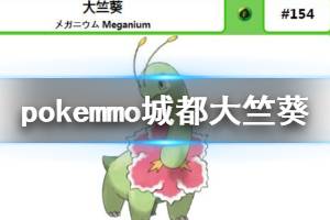 《pokemmo》城都大竺葵配招技巧 城都大竺葵PVP玩法教程