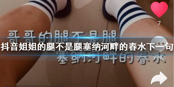抖音姐姐的腿不是腿是什么歌 姐姐的腿不是腿塞纳河畔的春水下一句