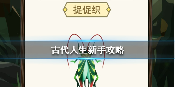 攻略网