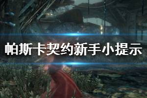 《帕斯卡契约》新手小提示 新手须知技巧