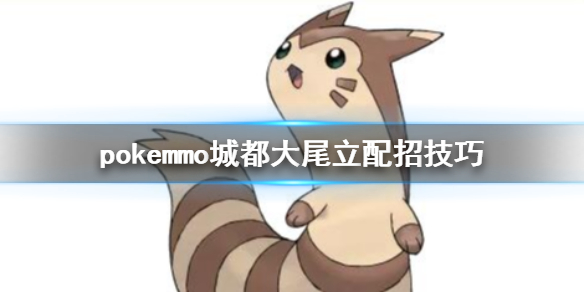 pokemmo城都大尾立怎么配招 大尾立技能搭配方法