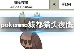 《pokemmo》城都猫头夜鹰配招技巧 猫头夜鹰技能搭配方法