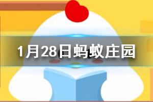 1月28日蚂蚁庄园今日答案 春节放假在家，为预防疾病，我们最好