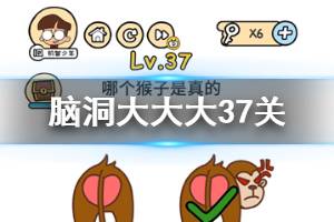 脑洞大大大第37关题目答案 哪个猴子是真的
