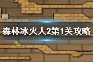 《森林冰火人2》第1关怎么过 第1关关卡攻略