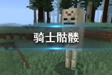 《我的世界手游》骑士骷髅介绍 天启之境混沌怪物骑士骷髅
