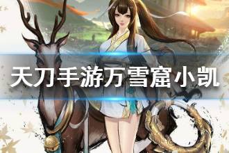《天涯明月刀》万雪窟小凯怎么打 万雪窟小凯攻略