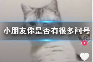 抖音小朋友你是否有很多问号是什么歌 mur猫表情包出处