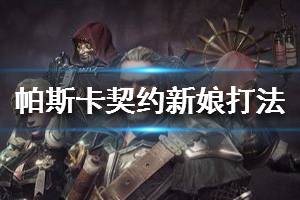 《帕斯卡契约》新娘打法 无头骑士的新娘流程攻略