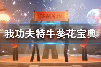 《我功夫特牛》葵花宝典好吗 秘籍葵花宝典解析