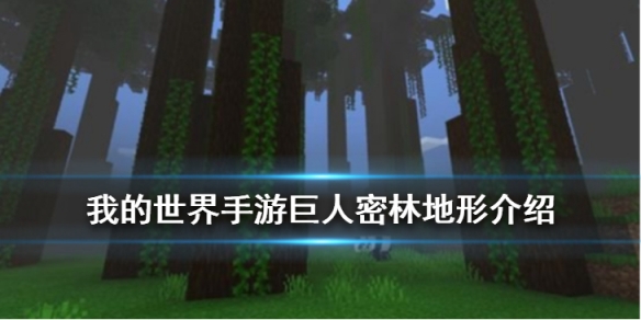 攻略网