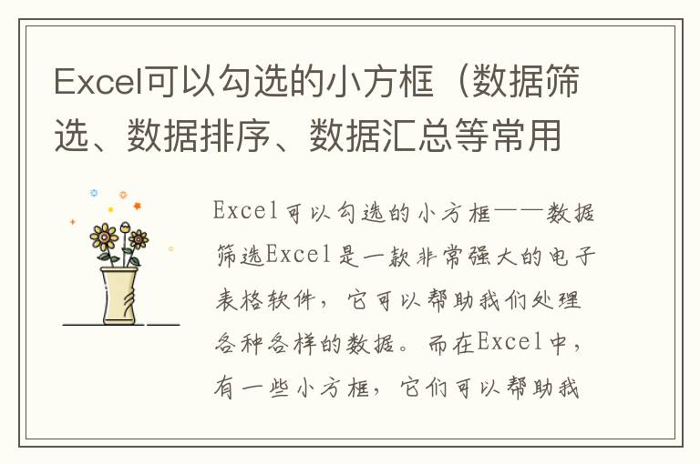 Excel可以勾选的小方框（数据筛选、数据排序、数据汇总等常用操作）