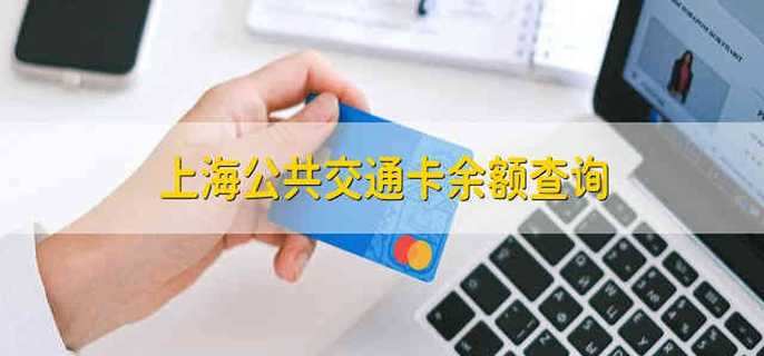 上海公共交通卡余额查询 上海的公共交通卡的余额怎么查询