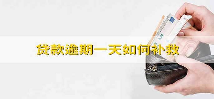 贷款逾期一天如何补救