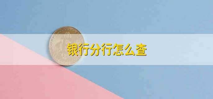 银行分行怎么查