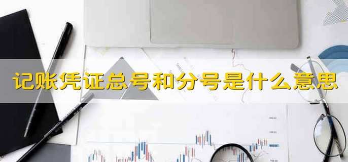 记账凭证总号和分号是什么意思