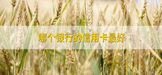 哪个银行的信用卡最好 信用卡最好的是哪个银行