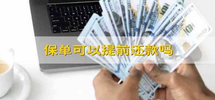 保单可以提前还款吗