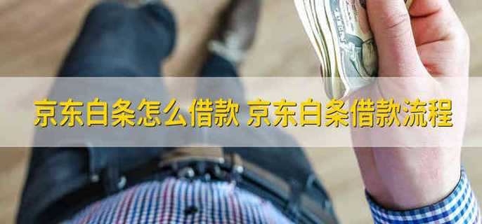 京东白条怎么借款 京东白条借款流程