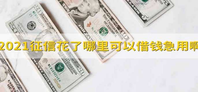 2021征信花了哪里可以借钱急用啊 2021征信花了哪里能借钱
