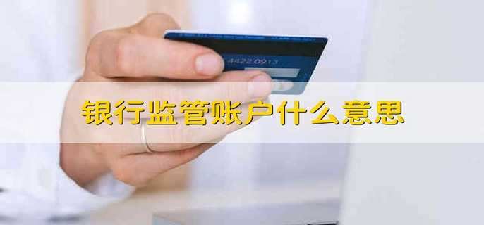银行监管账户什么意思