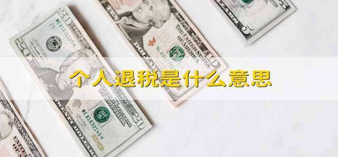 个人退税是什么意思