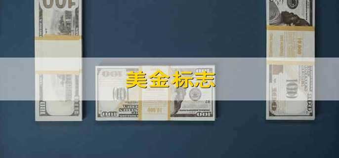 美金标志