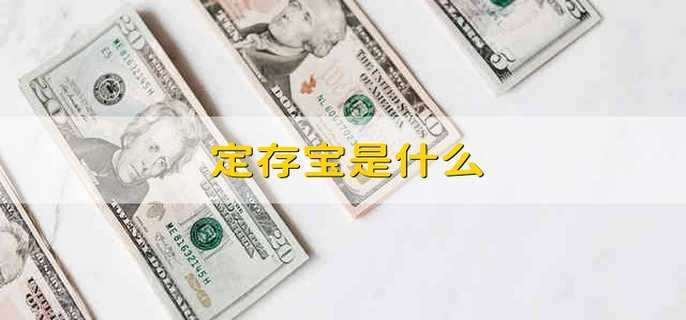 定存宝是什么