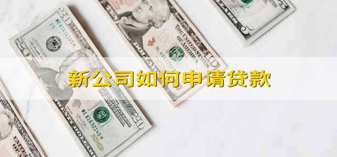 新公司如何申请贷款