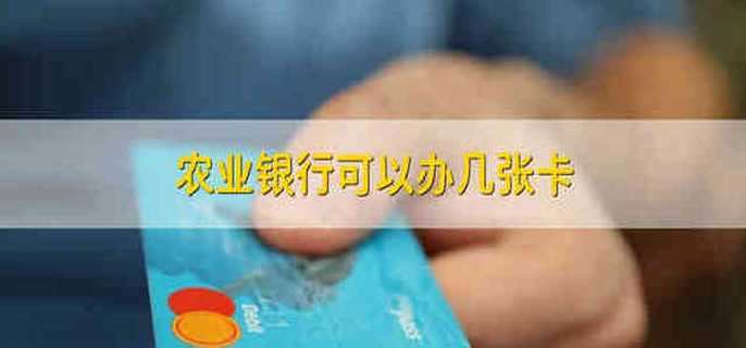 农业银行可以办几张卡