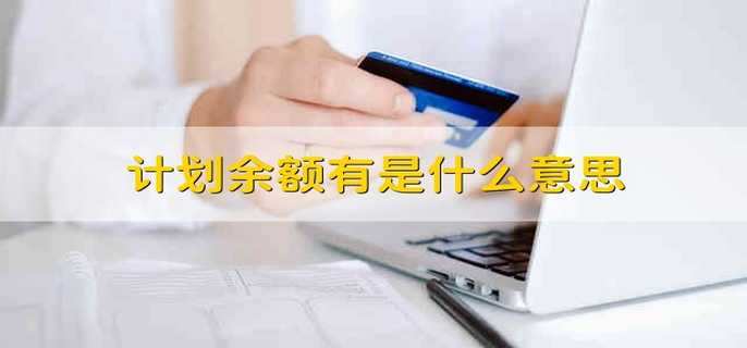计划余额有是什么意思