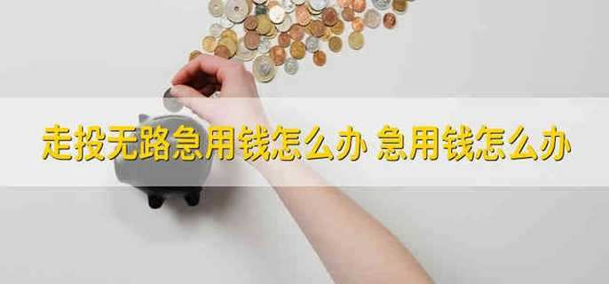 走投无路急用钱怎么办 急用钱怎么办