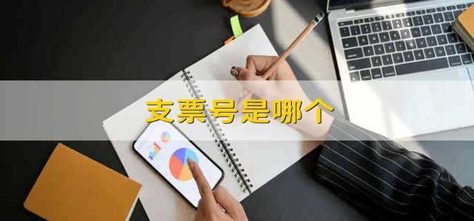支票号是哪个