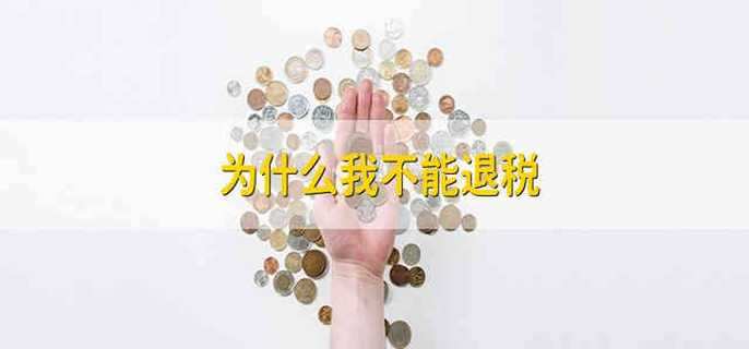 为什么我不能退税