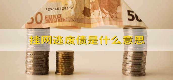 挂网逃废债是什么意思