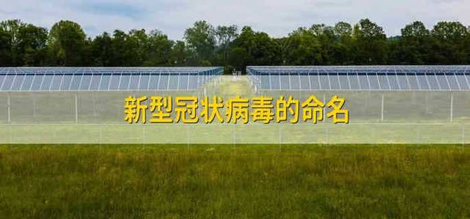新型冠状病毒的命名 新型冠状病毒的名字是什么