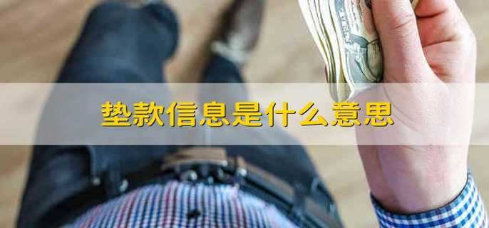 垫款信息是什么意思